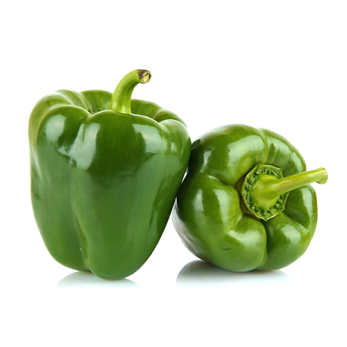 Capsicum vegetable best sale