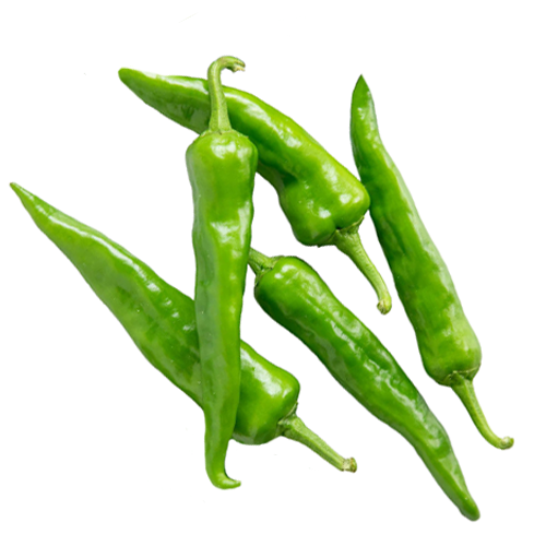 Fresh Long Green Chillies @ Halal Fine Foods