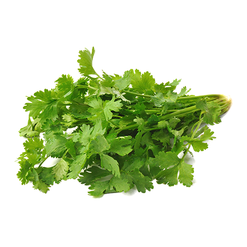 Fresh Coriander @ Halal Fine Foods