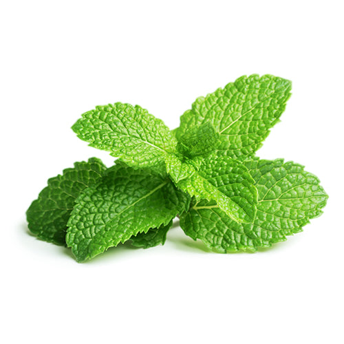 Fresh Mint @ Halal Fine Foods