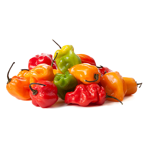 Habanero Peppers @ Halal Fine Foods
